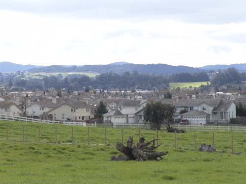 DSC00969