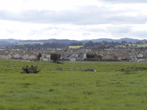 DSC00970