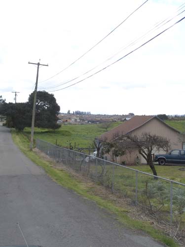 DSC00974