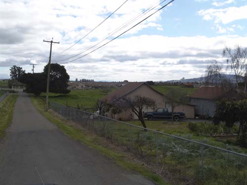 DSC00975