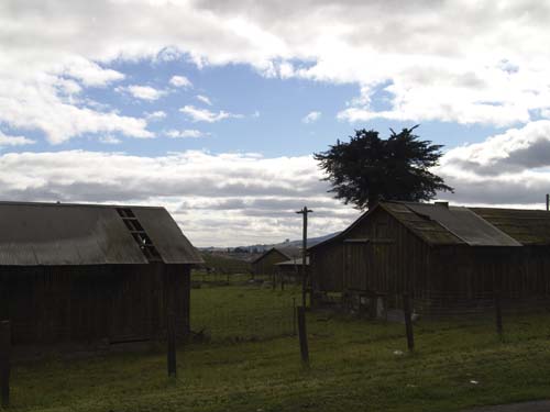 DSC00976
