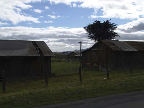 DSC00977