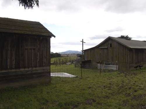 DSC00980