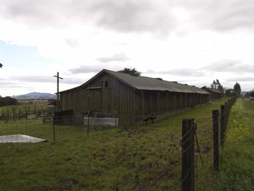 DSC00981