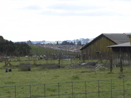 DSC00982