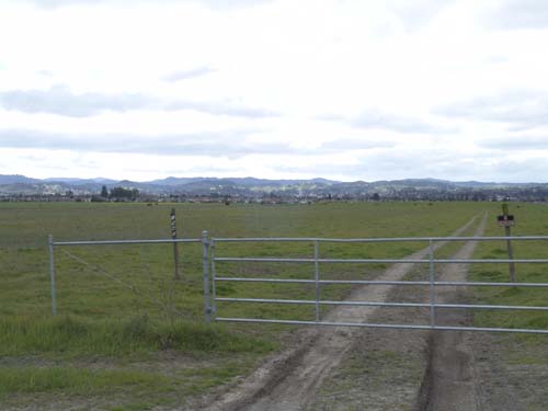 DSC00983
