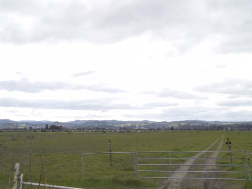 DSC00984