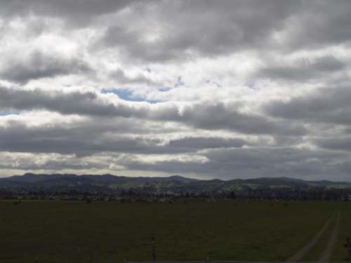 DSC00985