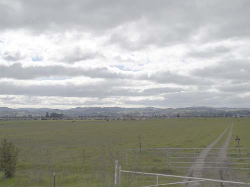 DSC00986