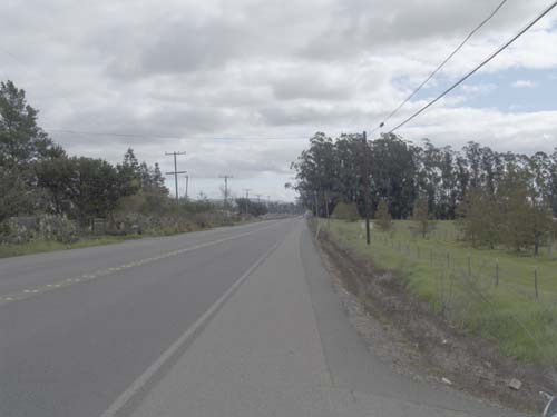 DSC00988