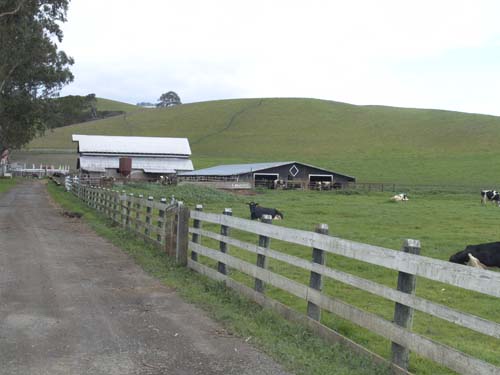 DSC00991