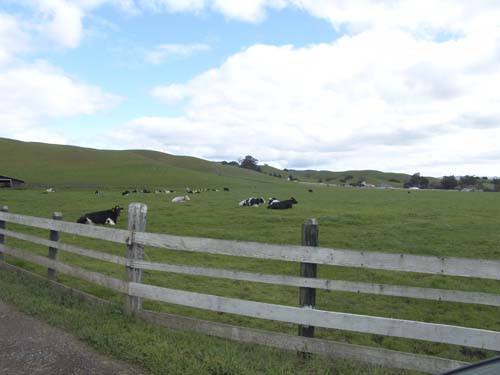 DSC00993