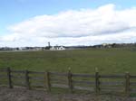 DSC00903