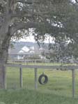 DSC00905