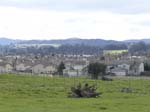 DSC00969