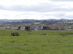 DSC00970