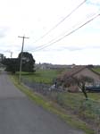 DSC00973