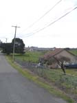 DSC00974