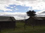 DSC00976