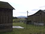DSC00979