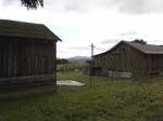 DSC00980