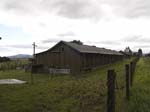 DSC00981
