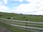 DSC00993