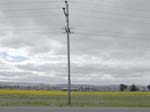 DSC00994