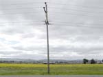 DSC00995