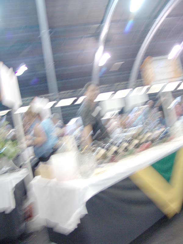 DSC03038