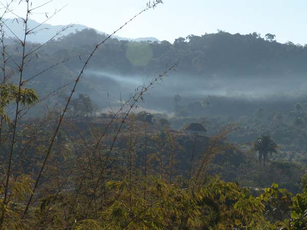DSC00591