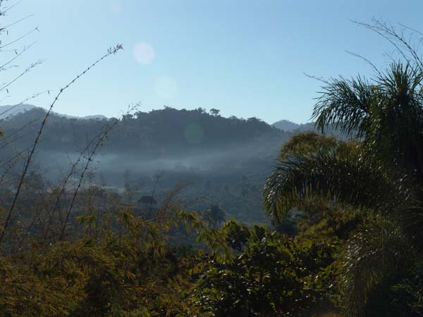 DSC00595