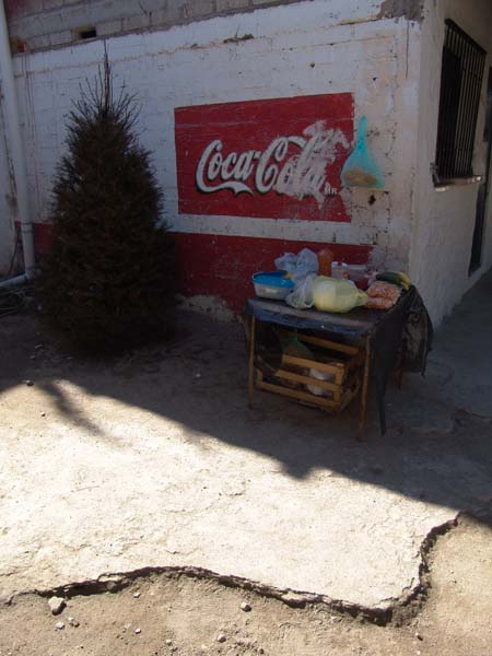 DSC00605