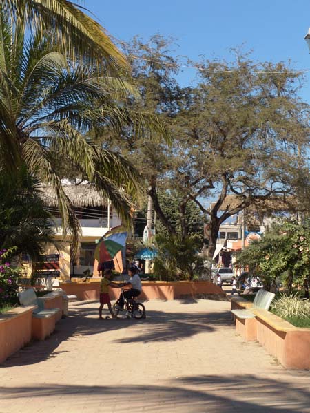 DSC00611