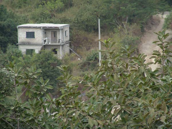 DSC00649