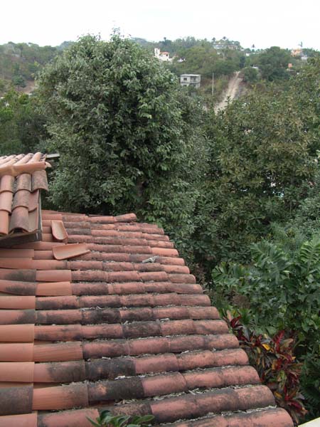 DSC00650