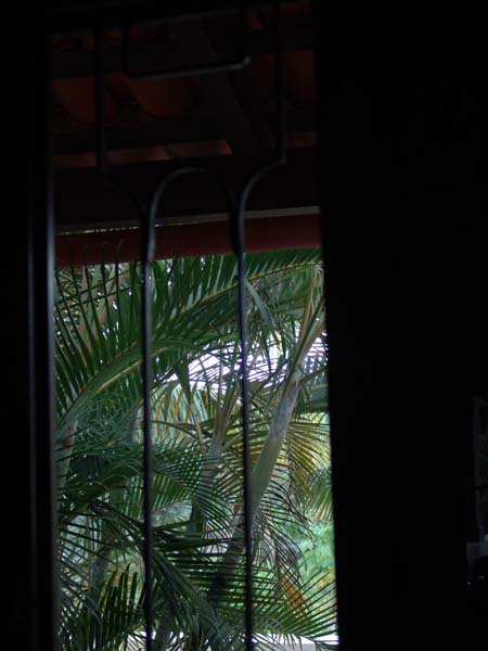 DSC00659