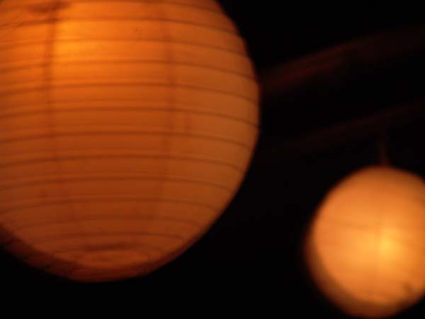 DSC00667