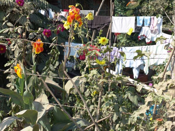 DSC00679