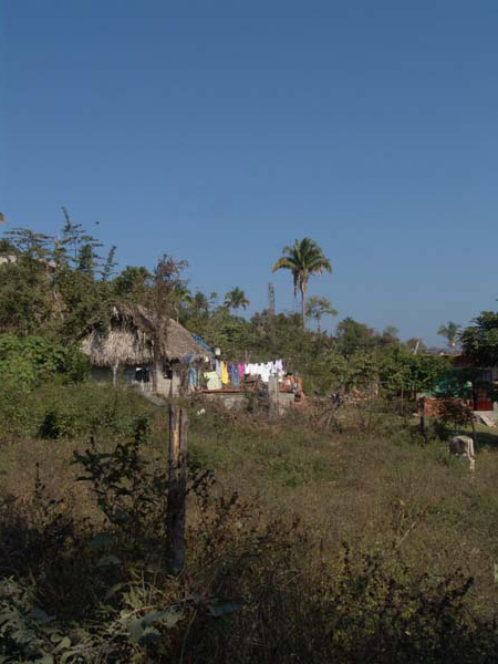 DSC00687