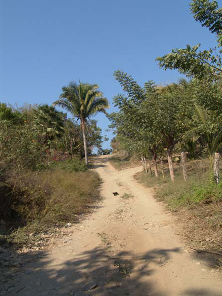DSC00688