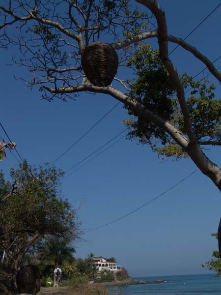 DSC00698