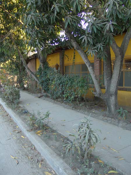 DSC00721
