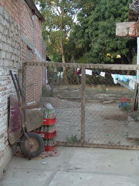 DSC00729