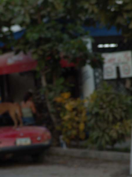 DSC00733