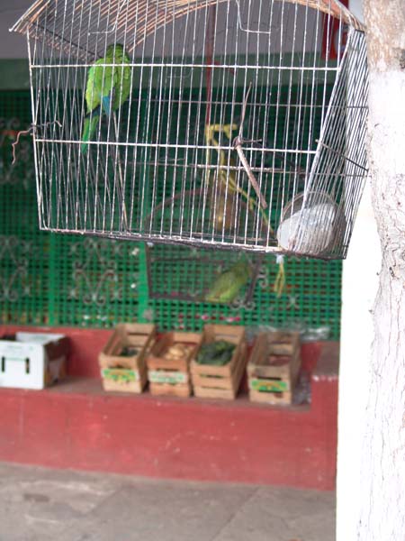 DSC00739