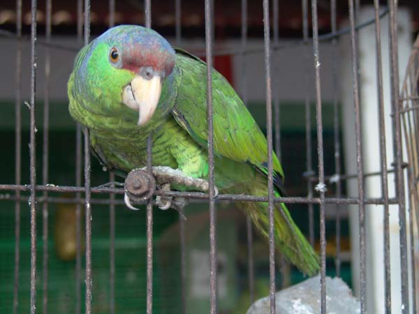 DSC00741