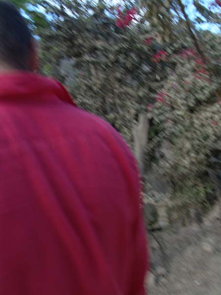 DSC00750
