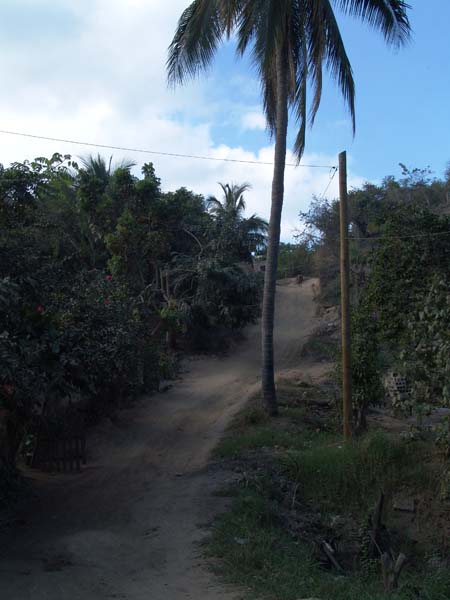 DSC00751