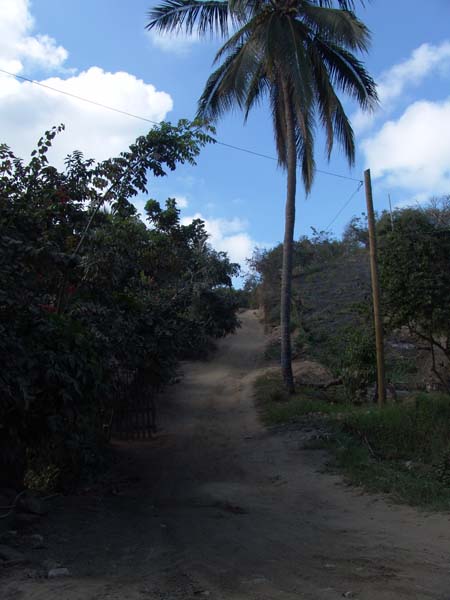 DSC00752